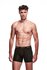 Envy Transparante Mesh Herenshort - Zwart_