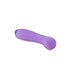 Wellness - G Ball Vibrator - Paars_